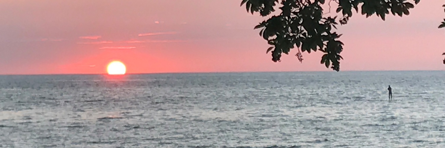 slwoul's profile banner image