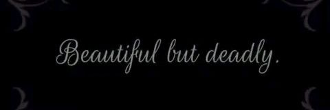 MissBeeMorule's profile banner image