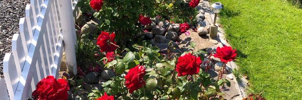 chimchim_PDMin Profile Banner