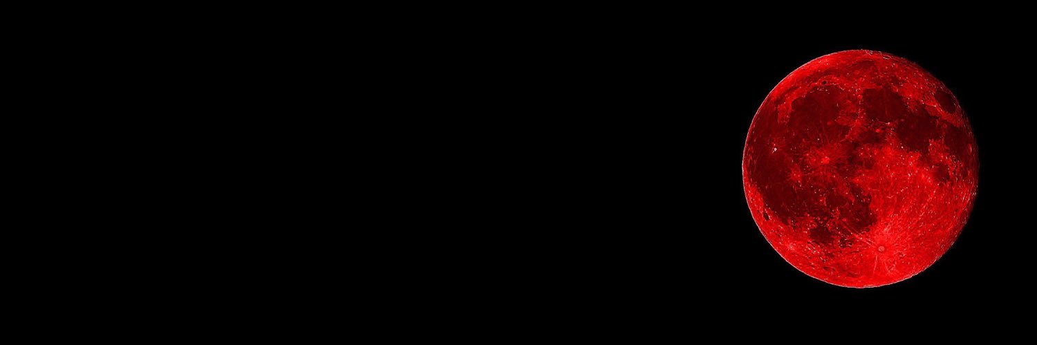 THE SECOND DIARY USER. banner