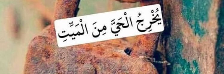 Momen60192859's profile banner image
