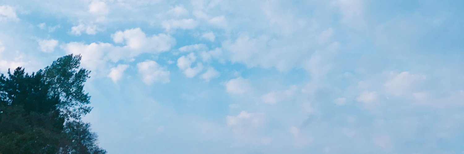 하루🌸 banner