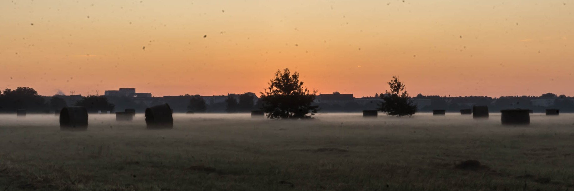 RadlerBlick's profile banner image