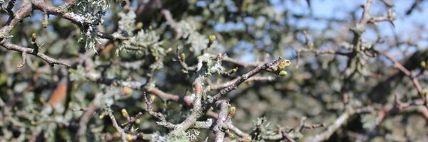 LukeThompson210 Profile Banner