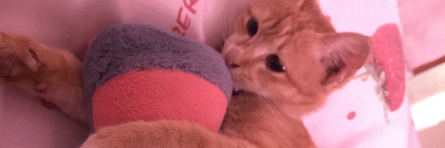 mxxtxyx_'s profile banner image