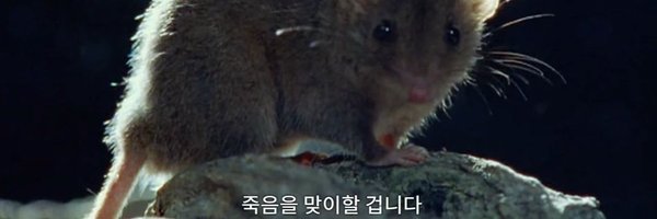 Guarikun Profile Banner