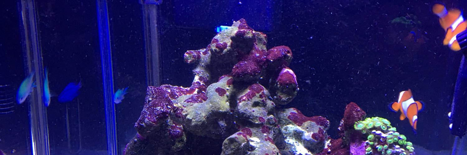 fitz43's profile banner image