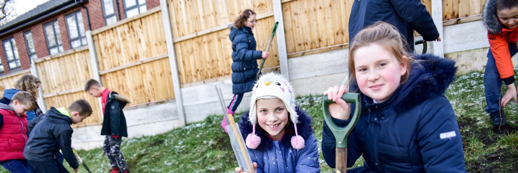 Trees for Learning banner
