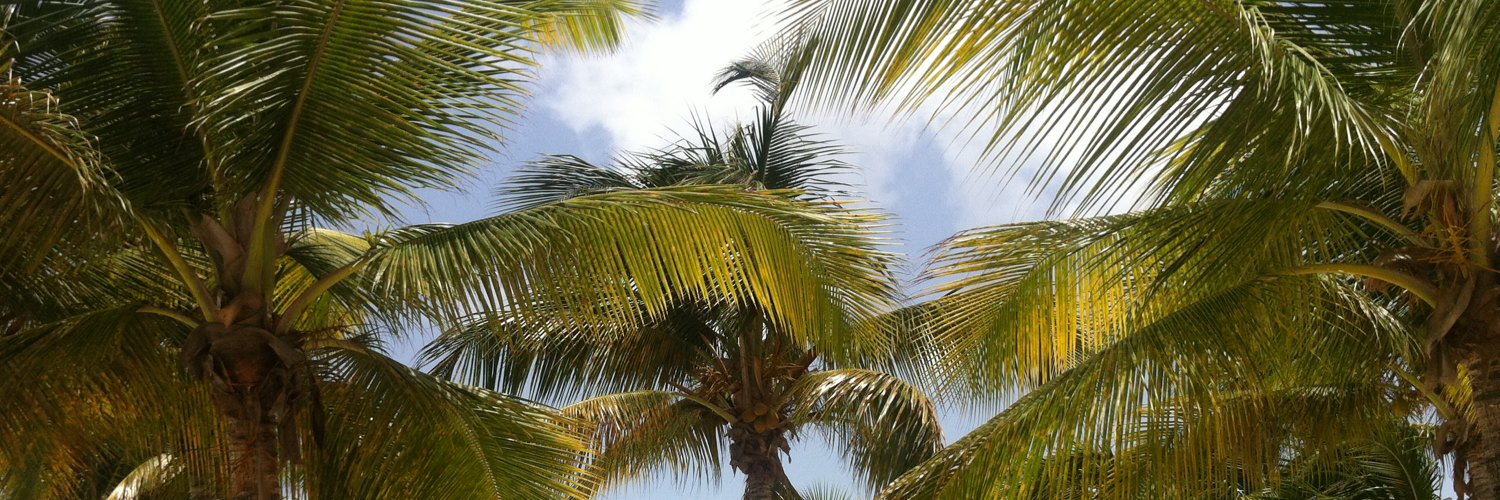 Guadra_Gyal's profile banner image