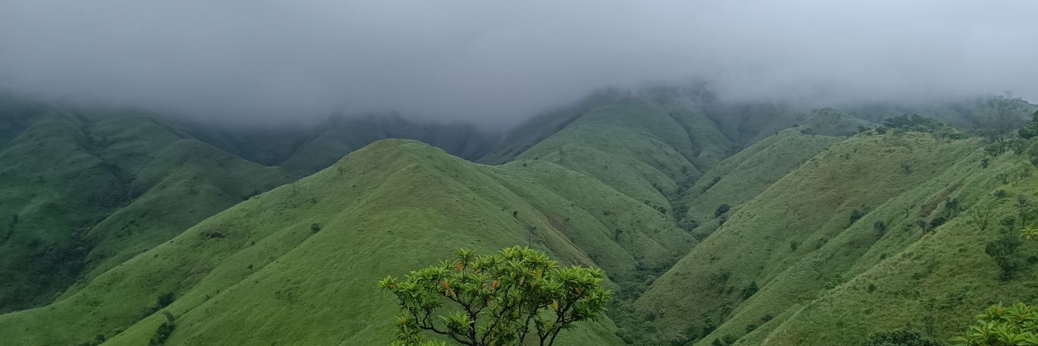 Shandelir12's profile banner image