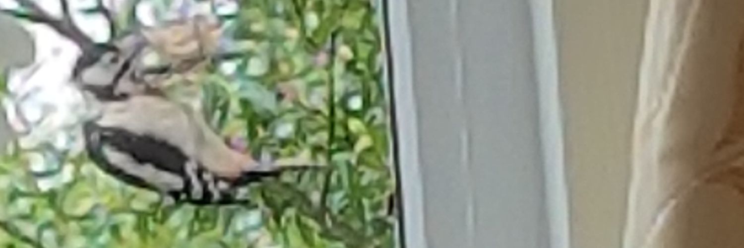 Michael14427505's profile banner image
