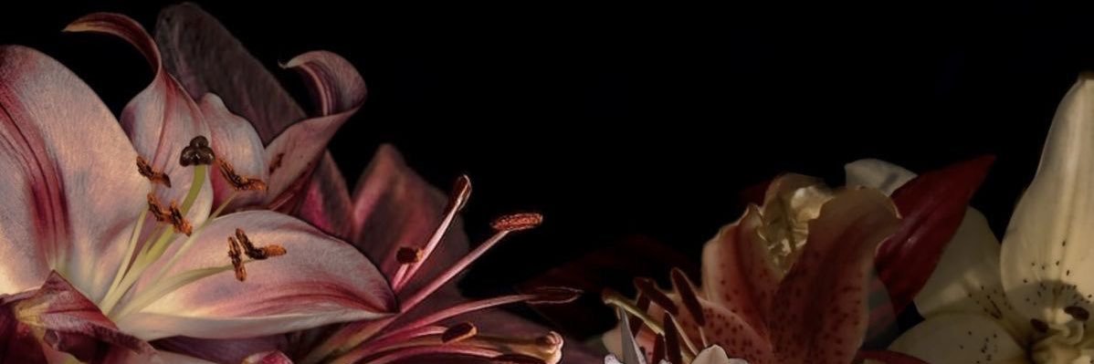 AlihRashida's profile banner image