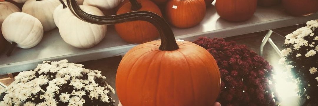 𝖙𝖆𝖞 👻 banner