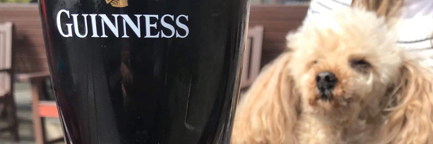 ClaireCGalloway's profile banner image