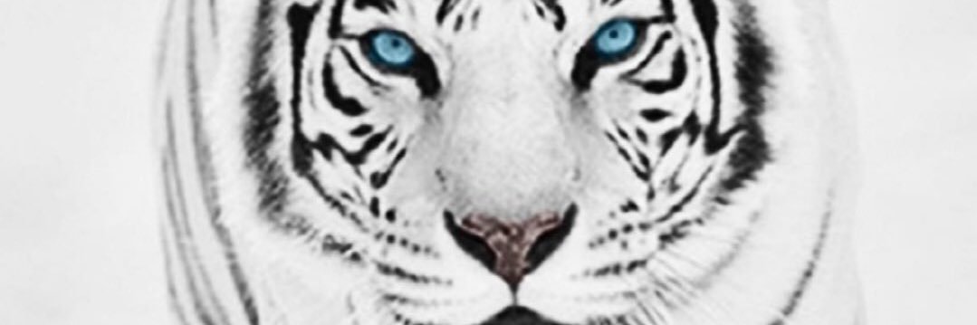 دختور banner