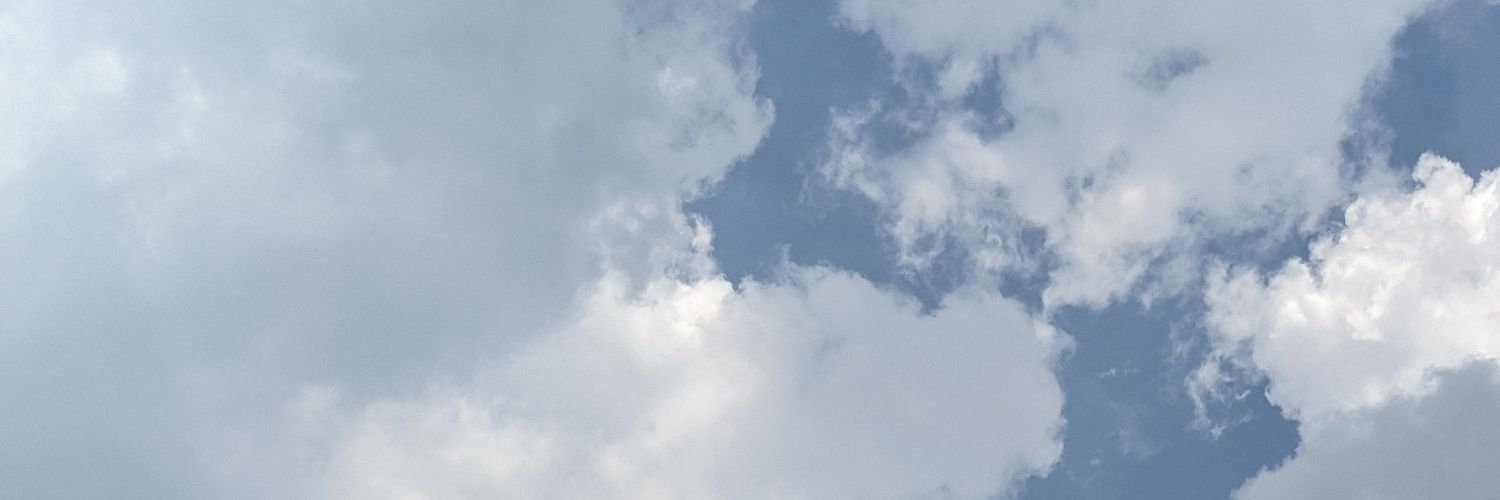sunweiwei5's profile banner image