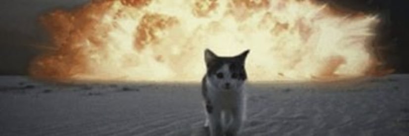 dooolunay's profile banner image