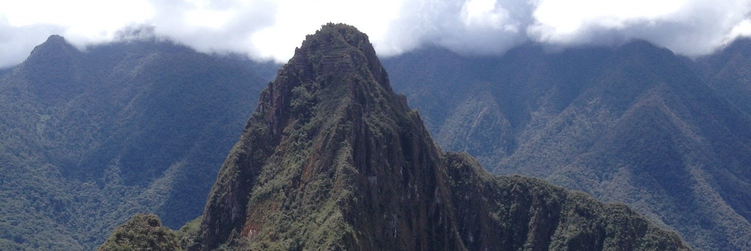 Rick 🇧🇷&🇪🇪 banner
