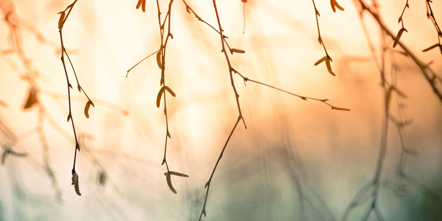 saulmata's profile banner image