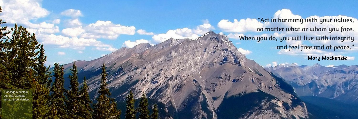 ymcapelton's profile banner image