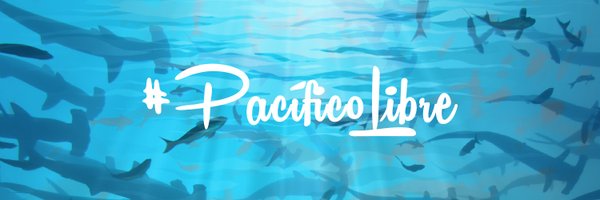 Pacifico Libre Profile Banner