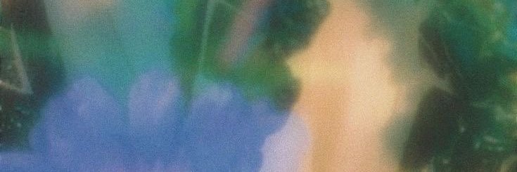 laiscoelhog's profile banner image