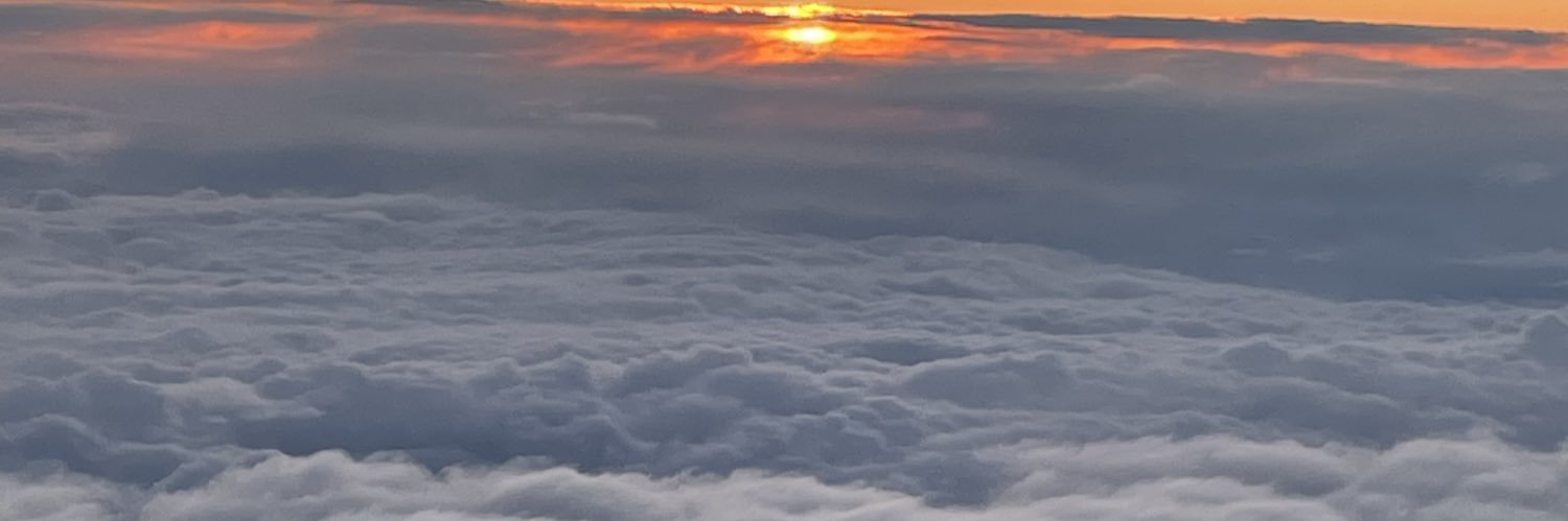 𝕋𝕚𝕕𝕪𝕄𝕪𝕤𝕥𝕚𝕔 banner