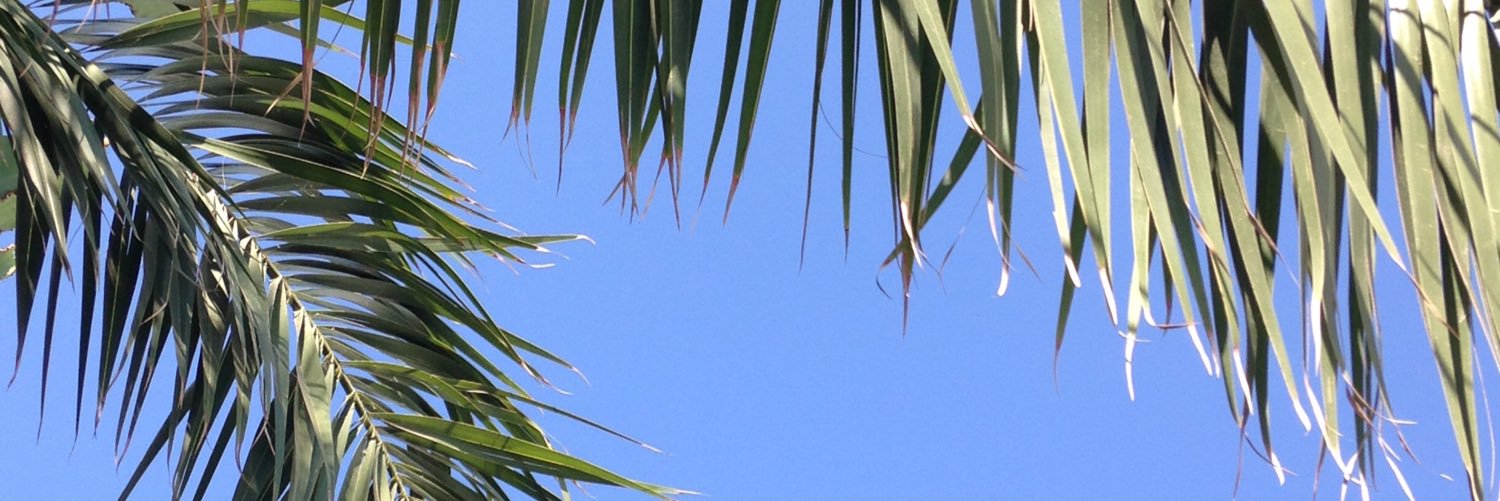 ClemB_'s profile banner image