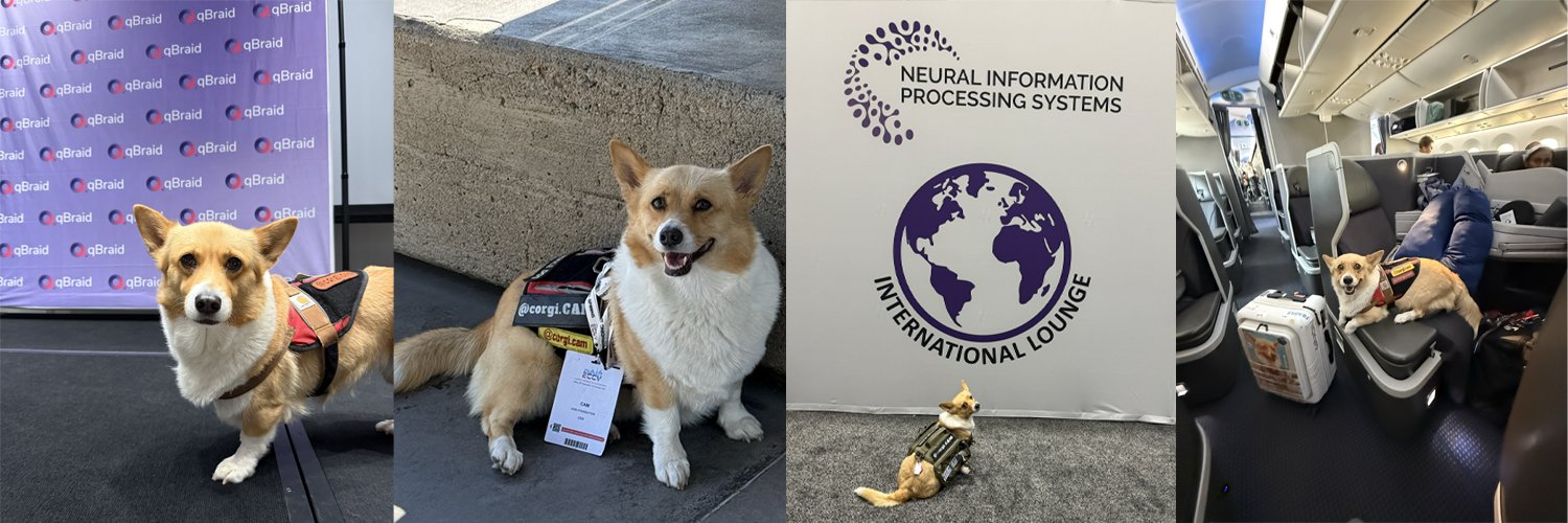CorgiCEO banner