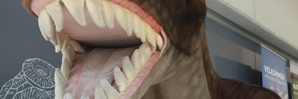 lbosch23's profile banner image
