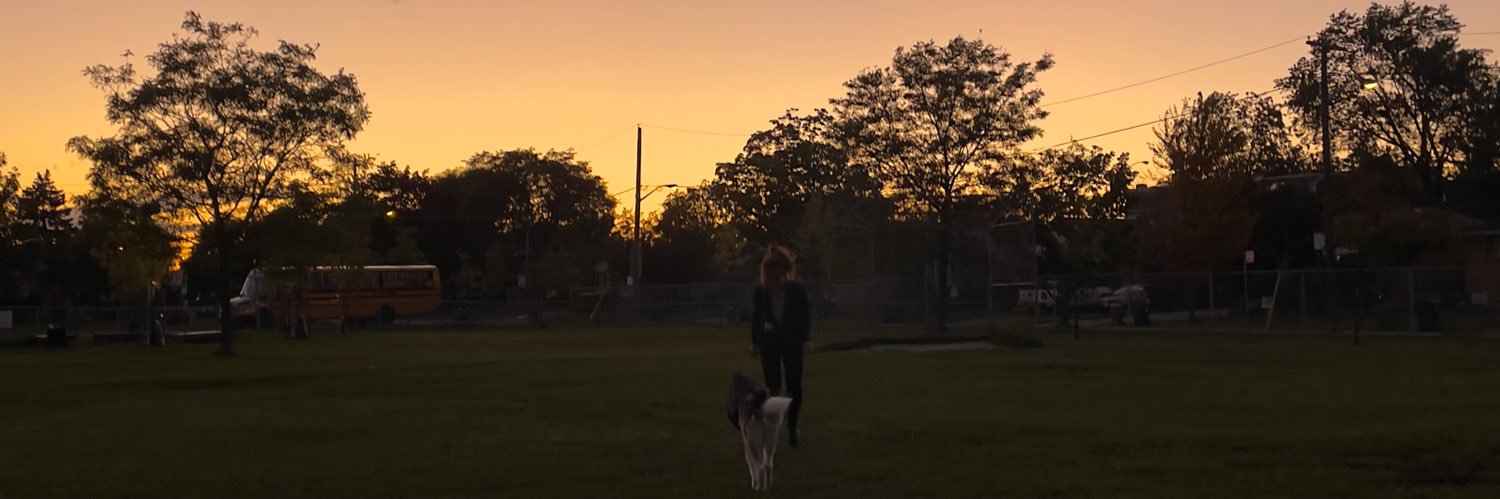 sarcasammm_'s profile banner image