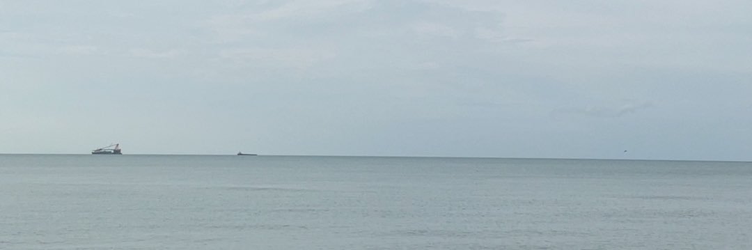 insanechuw's profile banner image