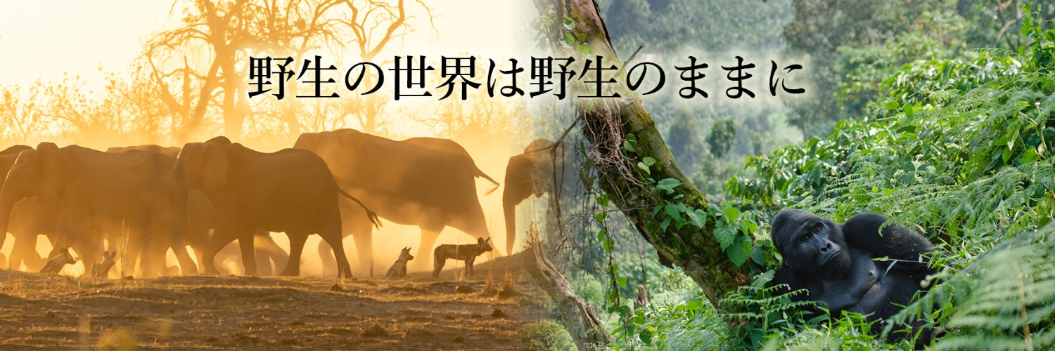 JWCS banner