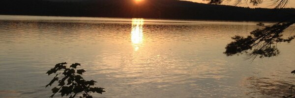 mdmystro Profile Banner