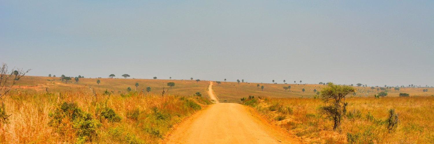TrueTuri's profile banner image