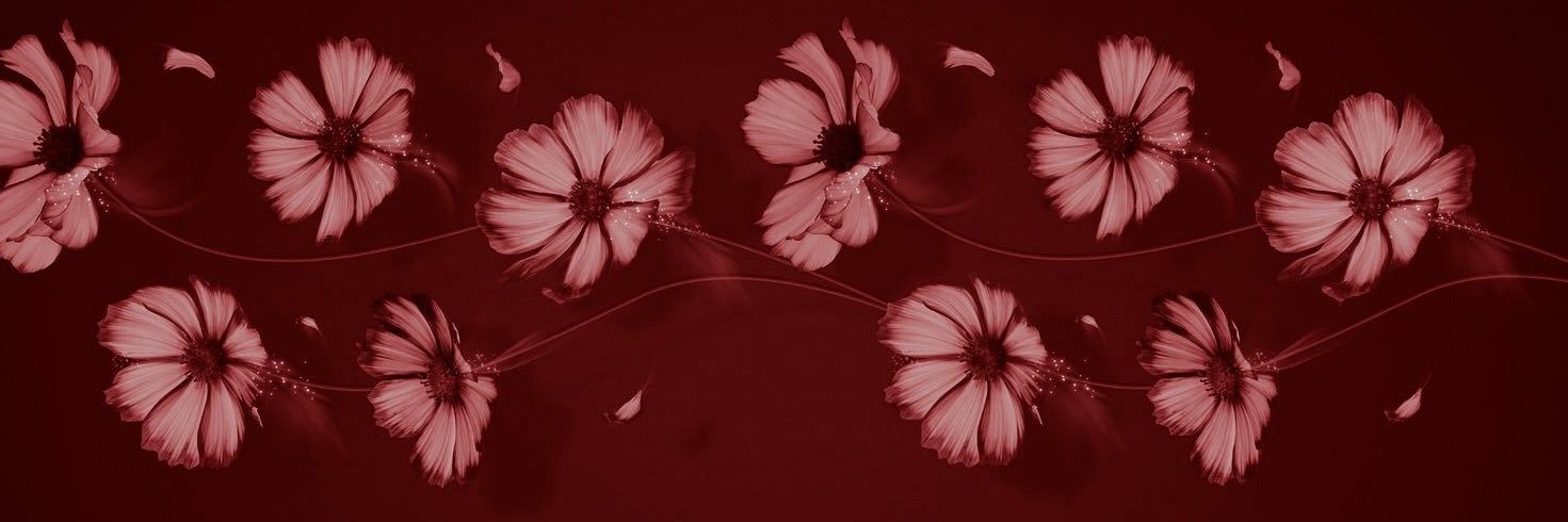 nataliebaioa's profile banner image