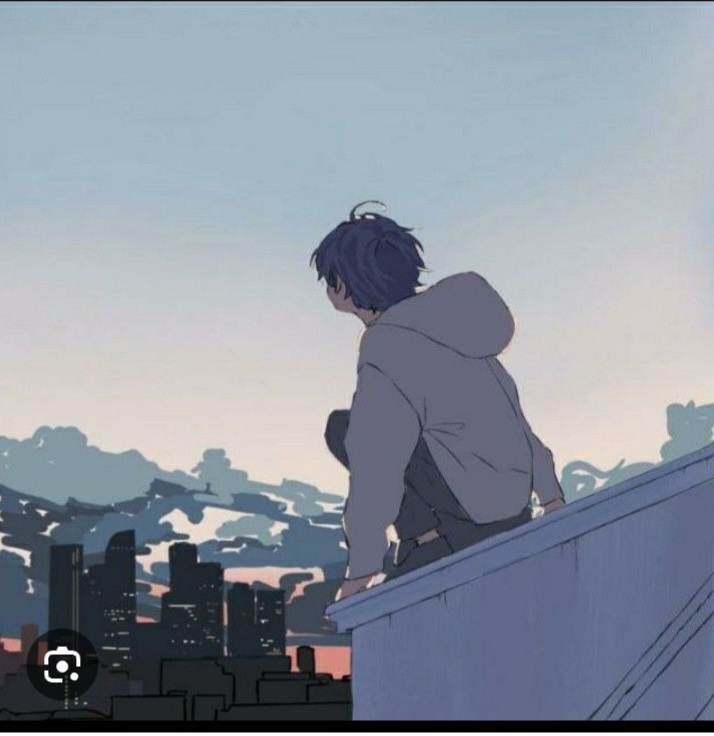 VN banner