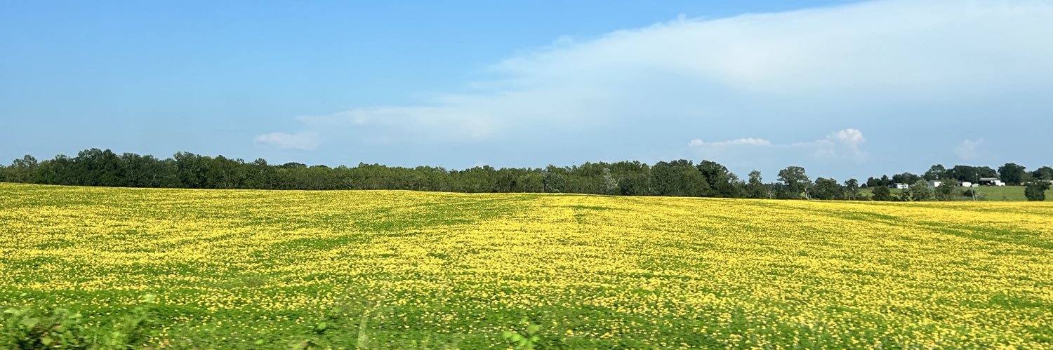 MariBMe's profile banner image