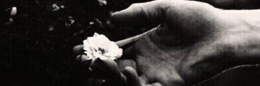 __24h_'s profile banner image