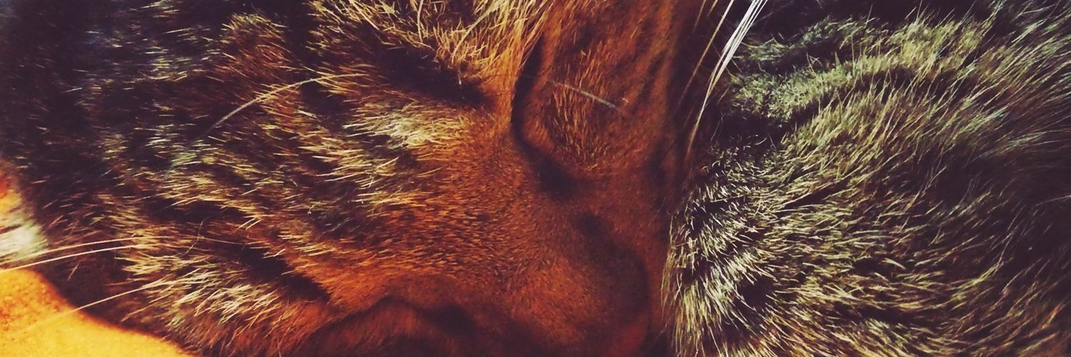 pomu_15's profile banner image