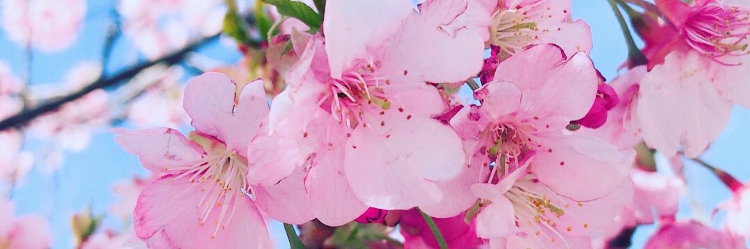 Janesuu03's profile banner image