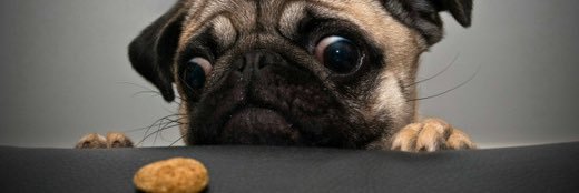 Rollmeataco's profile banner image