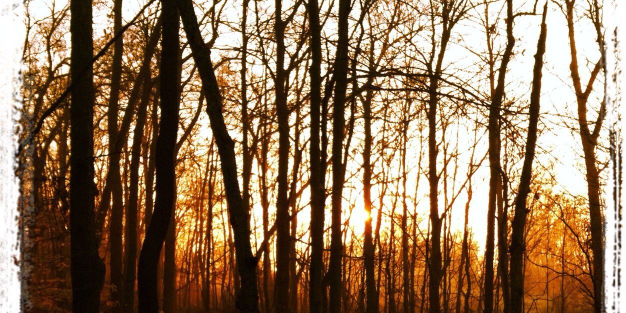 jtsoria's profile banner image