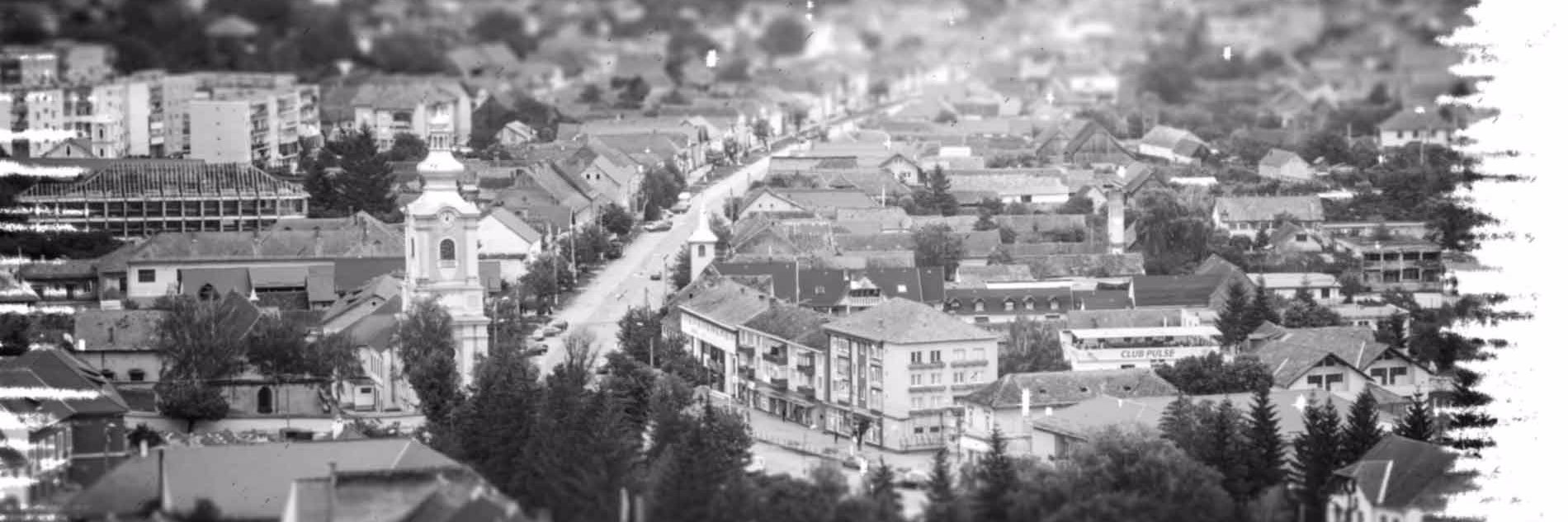 _suburbanlies's profile banner image