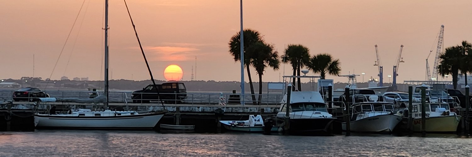 LisaontheWrite 🇺🇸 banner