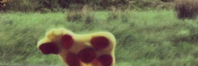 Aisy_ashers's profile banner image