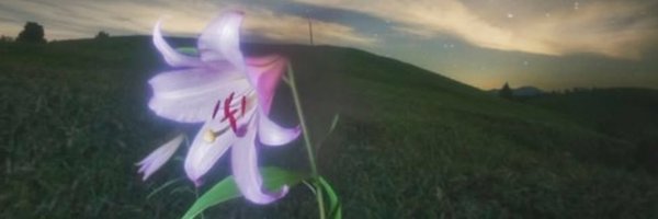 aquafiniris Profile Banner