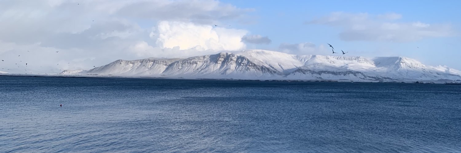 ZayanZaki's profile banner image