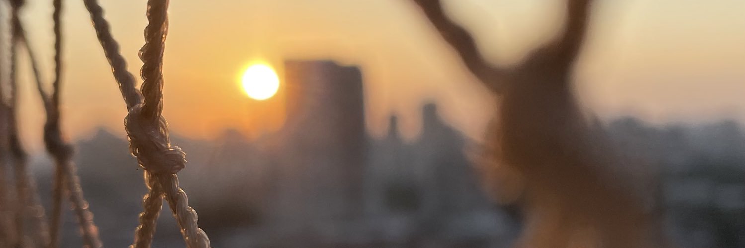 Thaís Graziano banner