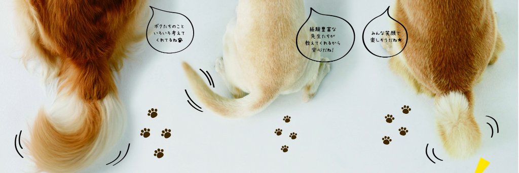 yickyotopet's profile banner image